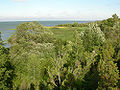 Northern coast of Muhu, Estonia. July 26, 2007.