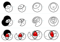 Transformation of Venn into Euler Diagrams