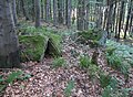 Čeština: Přírodní rezervace Getsemanka I. a II., nedaleko Rožmitálu pod Třemšínem v okrese Příbram (ČR) English: Nature reserve Getsemanka I. and II., near Rožmitál pod Třemšínem in Příbram District (Czech Republic)