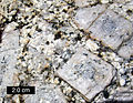 Potassium feldspar crystals in a granite, eastern Sierra Nevada, Rock Creek Canyon, California.