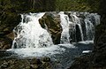 Čeština: Malý labský vodopád nad Špindlerovým mlýnem, Krkonošský národní parku English: Malý labský vodopád (Little Elbe waterfall) near Špindlerům mlýn in Krknoše (on Giant Mountains) national park