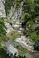 Ötscherbach in the Ötscher Canyon