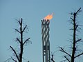 en:Olympic cauldron, it:Braciere olimpico