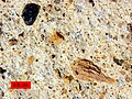 18.5 million-year-old tuff exposed at Hole In The Wall, Mojave National Preserve, California.