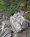 Čeština: Přírodní památka Hřebenec, nedaleko Rožmitálu pod Třemšínem v okrese Příbram (ČR) English: Natural monument Hřebenec, near Rožmitál pod Třemšínem in Příbram District (Czech Republic)