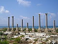 Palaestra columns at Al Mina