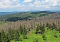 Čeština: Výhled z rozhledny na Poledníku, který je součástí národního parku Šumava, nedaleko obce Prášily v okrese Klatovy English: View from Poledník, national park Šumava, near Prášily in Klatovy District