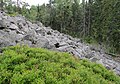 Čeština: Přírodní památka Hřebenec, nedaleko Rožmitálu pod Třemšínem v okrese Příbram (ČR) English: Natural monument Hřebenec, near Rožmitál pod Třemšínem in Příbram District (Czech Republic)