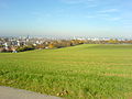 Sicht auf die Gemeinde Binningen, im Hintergrund Basel