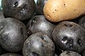 Black Potato India