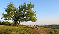 Čeština: Přírodní památka Havránka v blízkosti botanické zahray v Troji, Praha English: Natural monument Havránka near Botanic Gardens in Troja, Prague