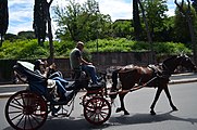 Colosseum