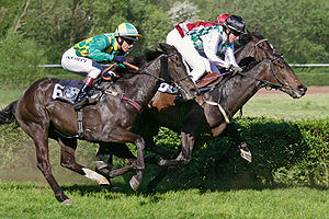 Horse racing in Saarbrücken, South West Germany