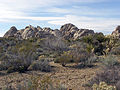 Granite Mountains, Mojave Desert, California.