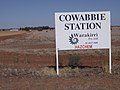 Cowabbie Station (Australian agriculture)