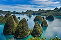 * Nomination Wayag is the most popular tourist destination in Raja Ampat. By User:Rolandandika --Tomer T 09:02, 5 January 2021 (UTC) * Decline  Oppose Unsharp (looks like camera shake), oversharpened, overcooked, sorry --Poco a poco 13:17, 5 January 2021 (UTC)