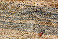 Heavy minerals (dark) in a quartz beach sand (Chennai, India.