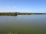 Humedal de la desembocadura del Río Copiapó vista sur.