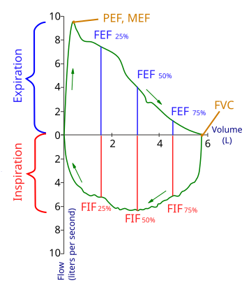 Spirometry