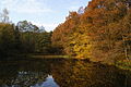 * Nomination Lake in Büschergrund, Germany. --Bartiebert 13:55, 5 November 2010 (UTC) * Promotion nice --LutzBruno 18:03, 6 November 2010 (UTC)