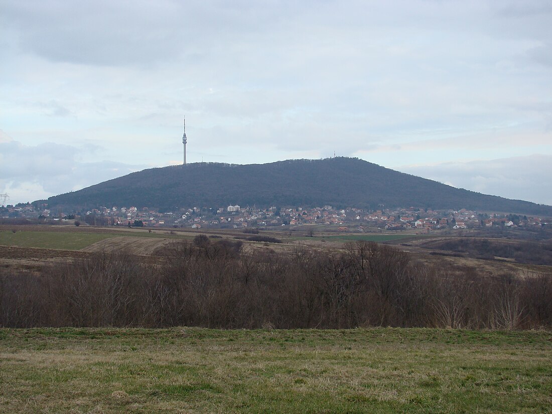 Avala