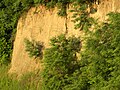 Loess exposed in Vicksburg, Mississippi.