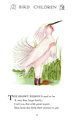 Egretta thula (aka: Snowy Heron) 52 in: Bird Children 1912