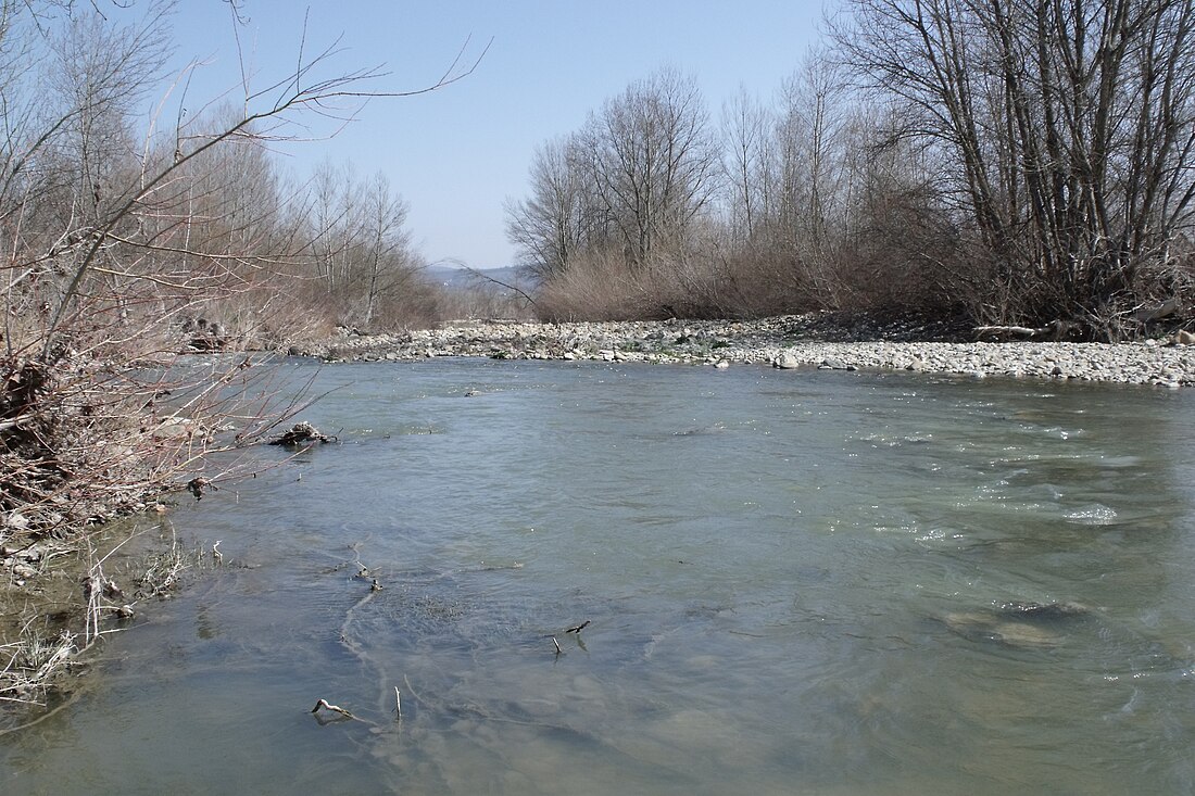 Paglia (river)