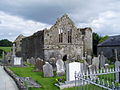 Buttevant Abbey