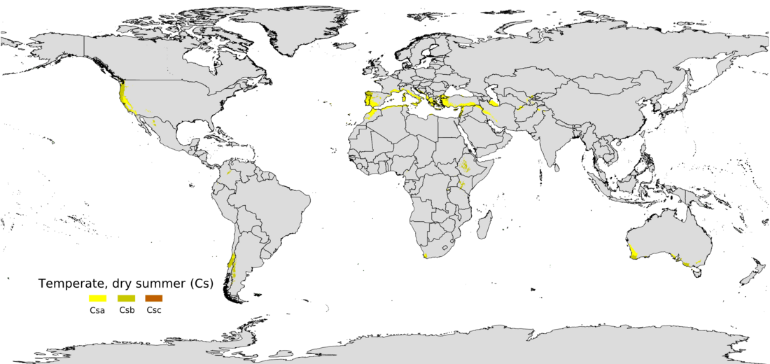 Mediterranean climate