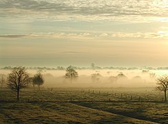 25.10.08 Bodennebel