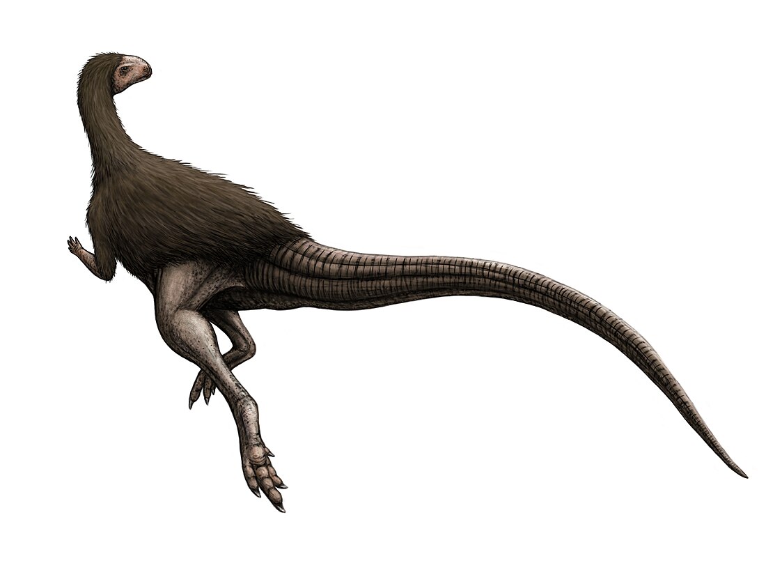 Morrosaurus