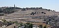 Mount of Olives viewed from the Old City showing the Jewish cemetery (2009).