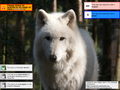 wmuk:File:Snowolf gluserpage.png