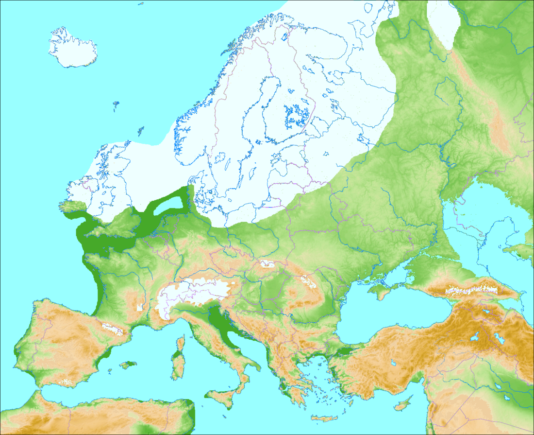 Weichselian glaciation