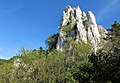 Čeština: Vápencové skály jurského stáří v národní přírodní rezervaci Děvín-Kotel-Soutěska, okres Břeclav English: Limestone rock (jurassic age) in national nature reserve Děvín-Kotel-Soutěska, Břeclav District