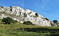 Čeština: Vápencové skály jurského stáří v národní přírodní rezervaci Děvín-Kotel-Soutěska, okres Břeclav English: Limestone rock (jurassic age) in national nature reserve Děvín-Kotel-Soutěska, Břeclav District