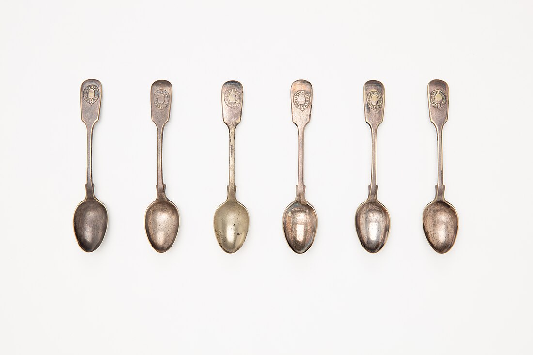 Spoon theory