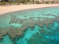 Fringing coral reef near Eilat, Israel.