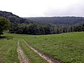 Valley near Chatel Chéhéry, France, where Sgt. York did his heroics in WWI.