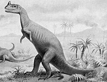 Ceratosaurus.jpg