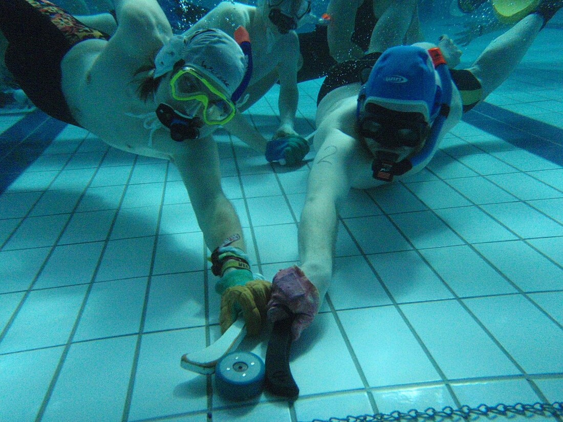 Underwater hockey