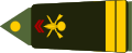 "Army-FRA-OF-01A-ROTATION-INFANTRY.svg" by User:CocoricoPolynesien