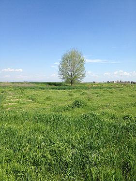 Nature in Erbil province in Iraq © KarwanKoy