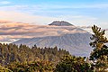 * Nomination Java, Indonesia: Mount Sumbing, seen from Borobudur temple park. --Cccefalon 05:01, 30 October 2015 (UTC) * Promotion  Support --Christian Ferrer 05:53, 30 October 2015 (UTC)