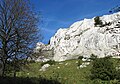 Čeština: Vápencové skály jurského stáří v národní přírodní rezervaci Děvín-Kotel-Soutěska, okres Břeclav English: Limestone rock (jurassic age) in national nature reserve Děvín-Kotel-Soutěska, Břeclav District