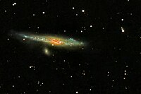 Whale galaxy.