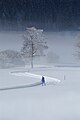 52 Cross country skier in Tirol landscape created and uploaded by Böhringer Friedrich, nominated by Sarcastic ShockwaveLover