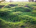 Remnants of World War II Russian trenches in the Nevsky Pyatachok.