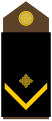 Croatian Army OR-04 (Skupnik)